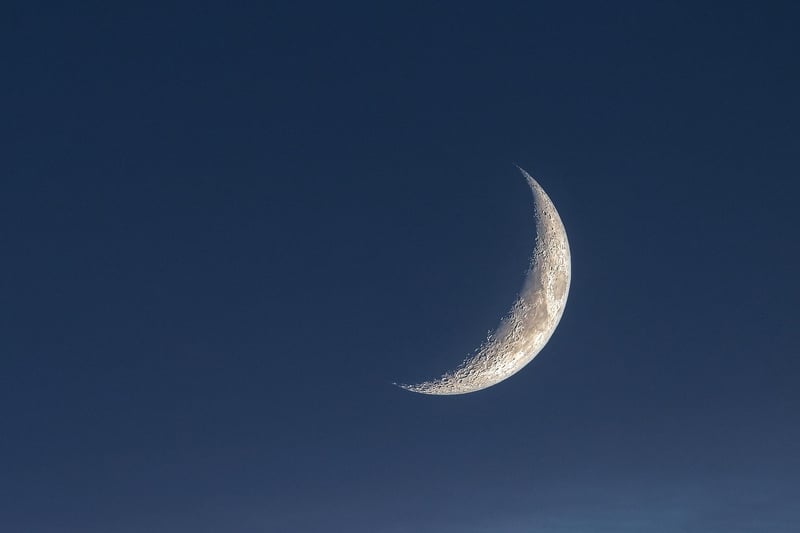 Moonlit Ambiance