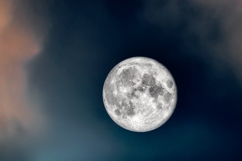 Moonlit Ceremony